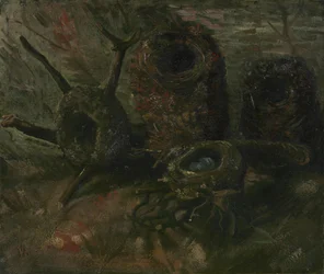 Vogelnester